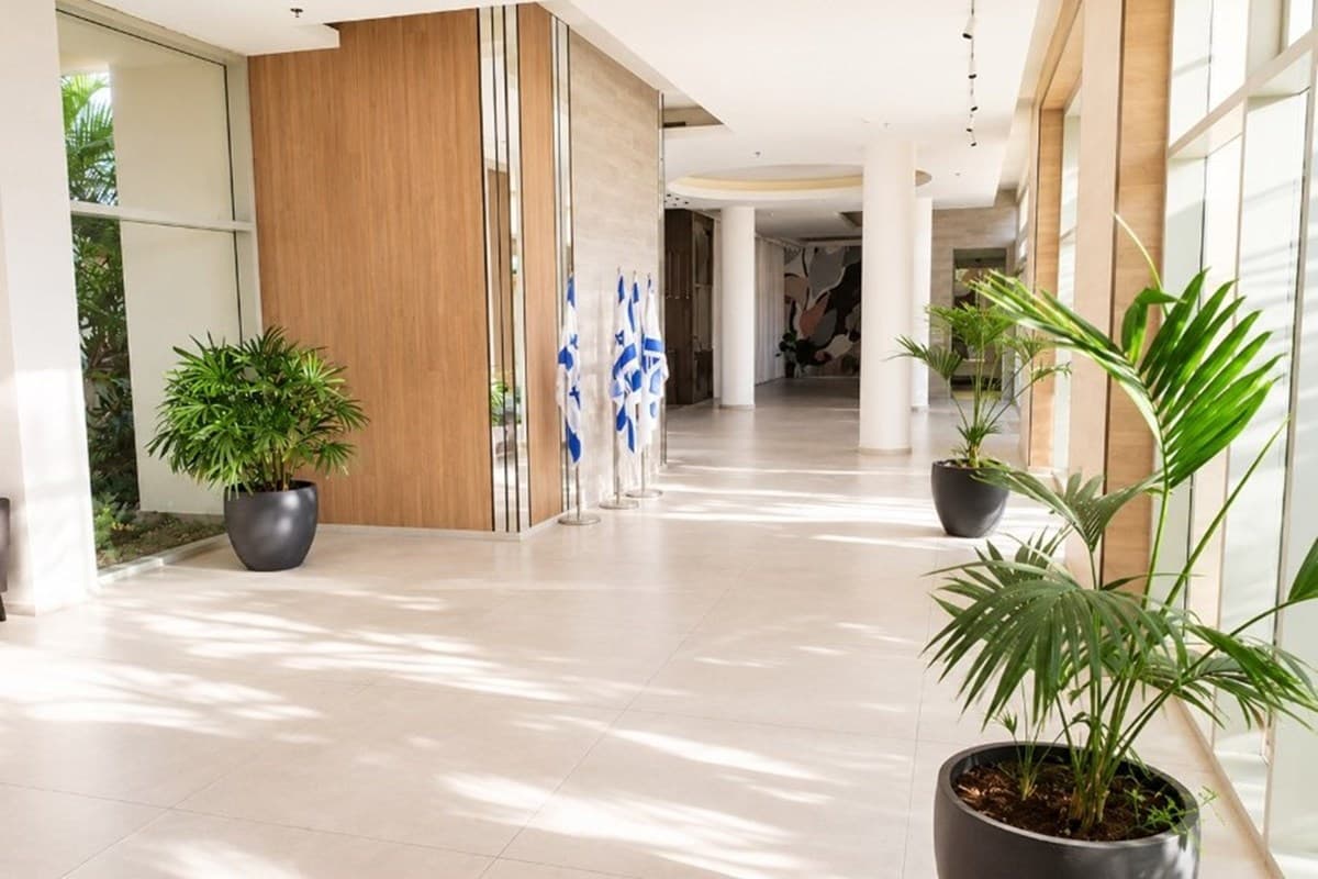 דירת 4 חד' מוארת פונה לגינה ירוקה! — 6