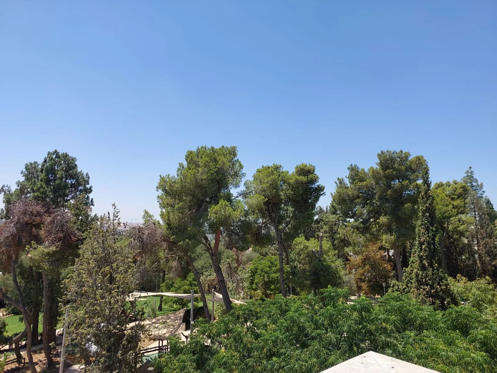 וילה 8 חדרים, 517 מ"ר בטלביה — 4