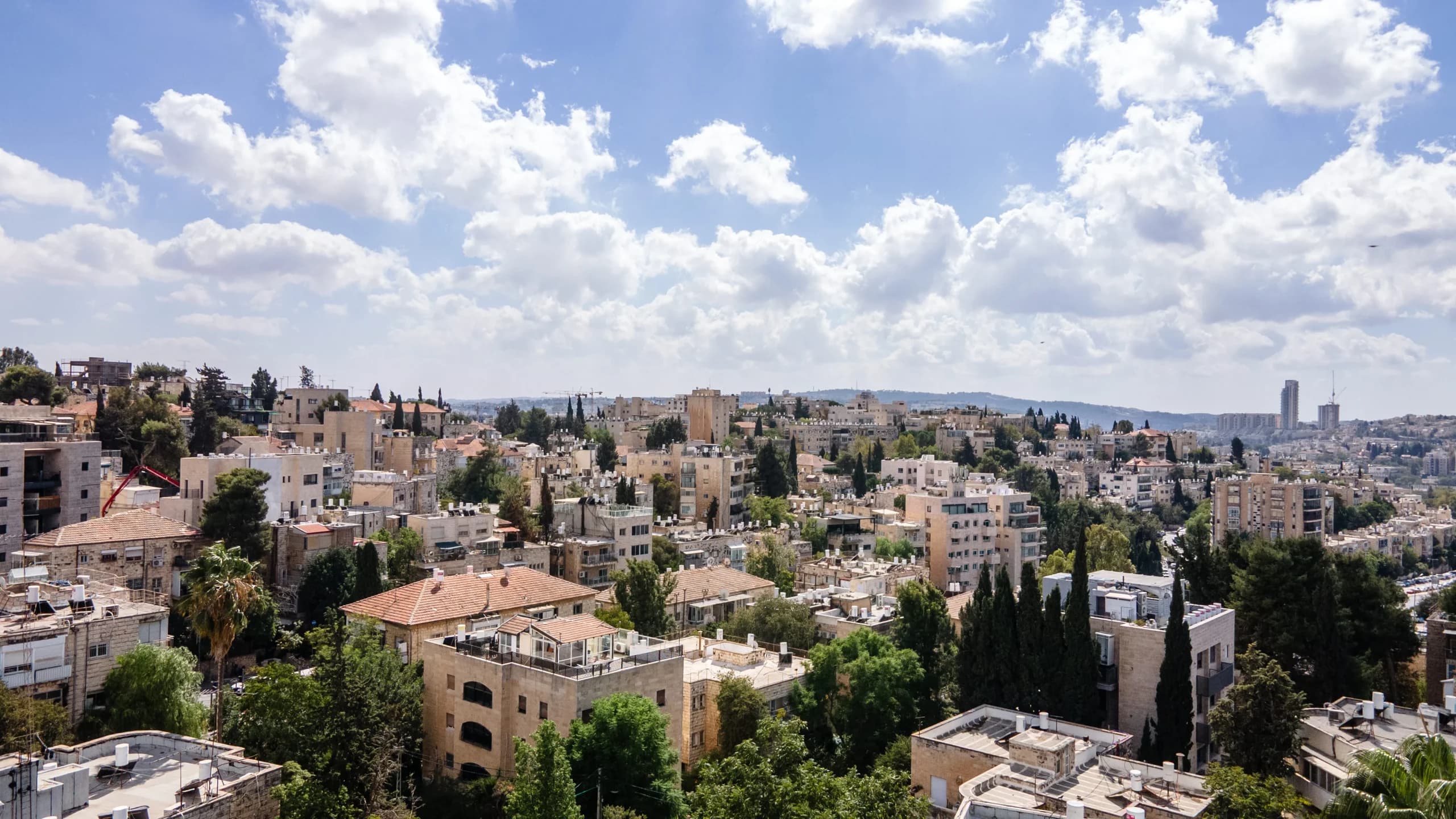 דירה 5 חדרים, 150 מ"ר ברחביה — 6