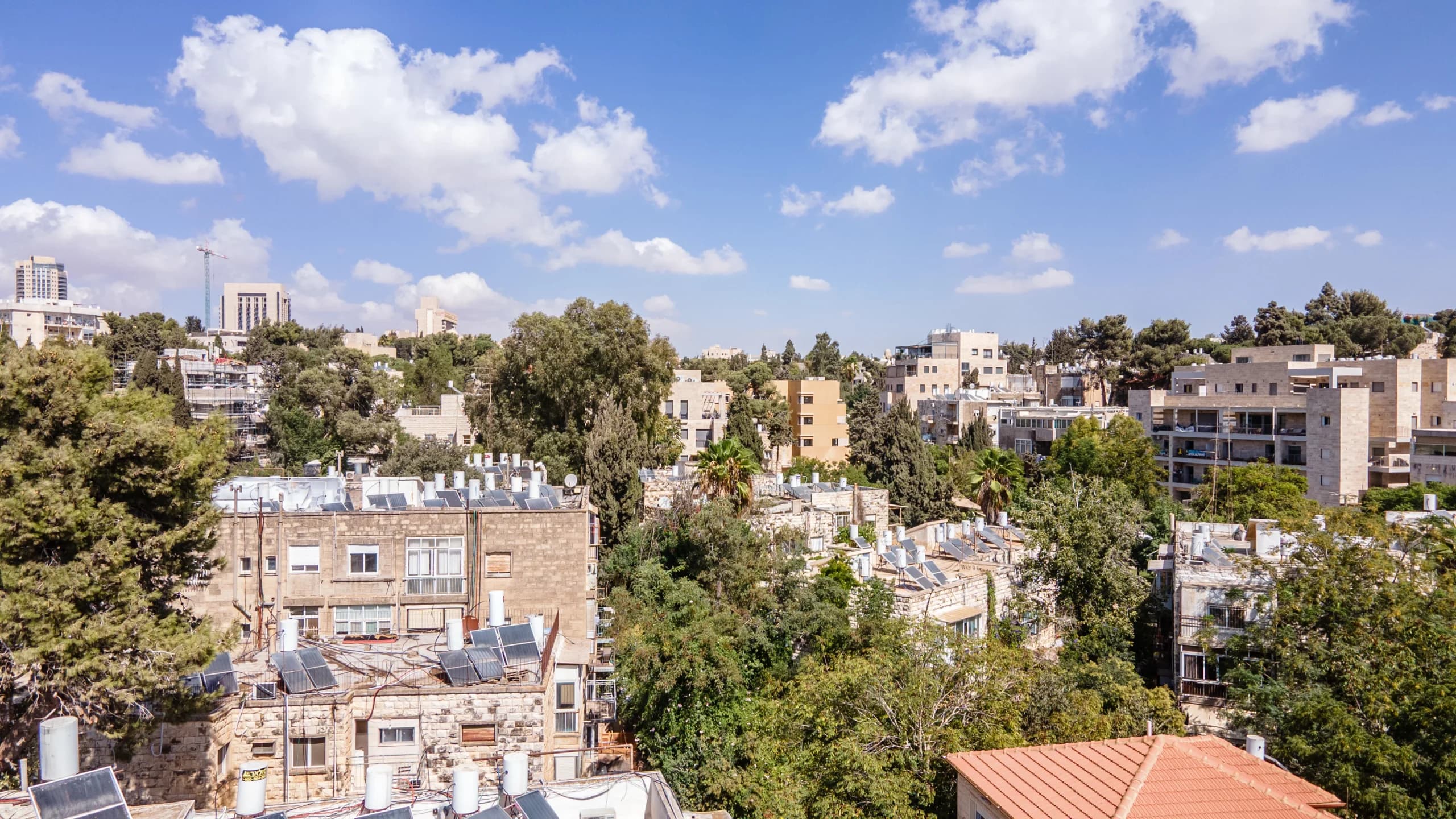 פנטהאוז 5 חדרים, 418 מ"ר ברחביה — 4
