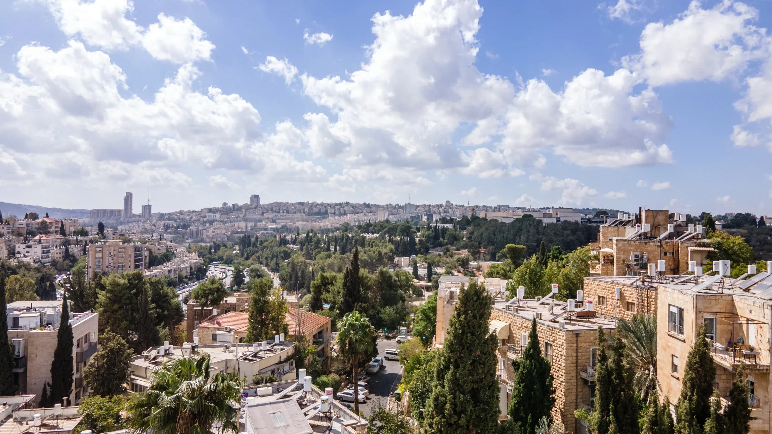 דירה 3 חדרים, 78 מ"ר ברחביה — 7