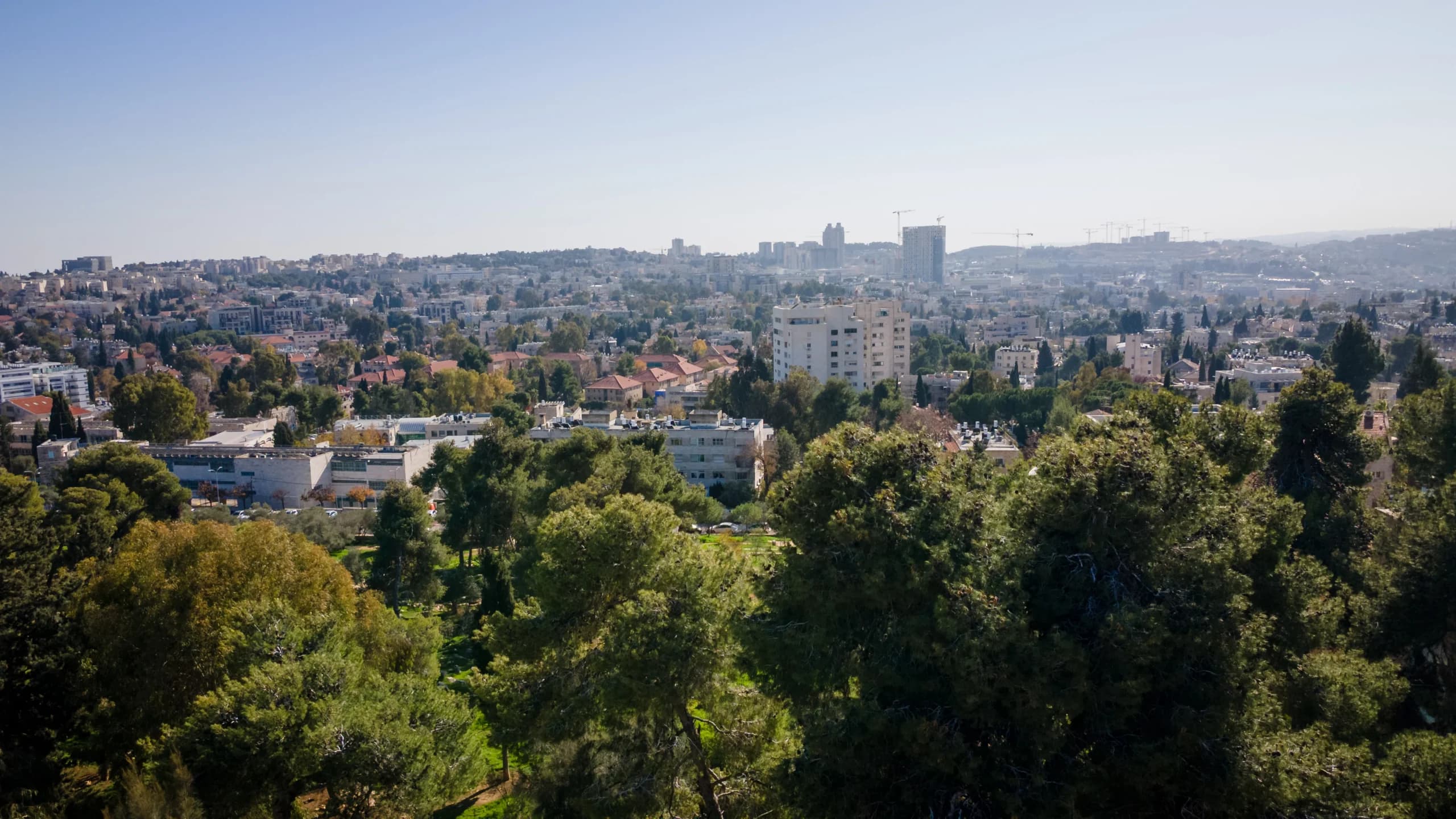 דירה 4 חדרים, 98 מ"ר בטלביה — 3