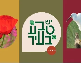 טבע עירוני בגינה הקהילתית